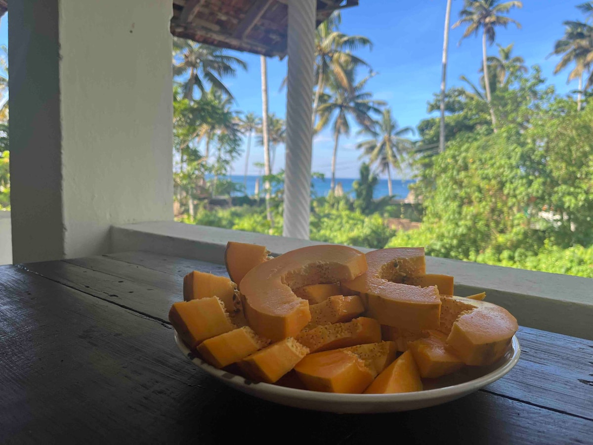 A white plate filled with fresh, sliced papaya is placed on a dark wooden table. In the background, clear blue skies and palm trees are visible, framing a tranquil ocean view.