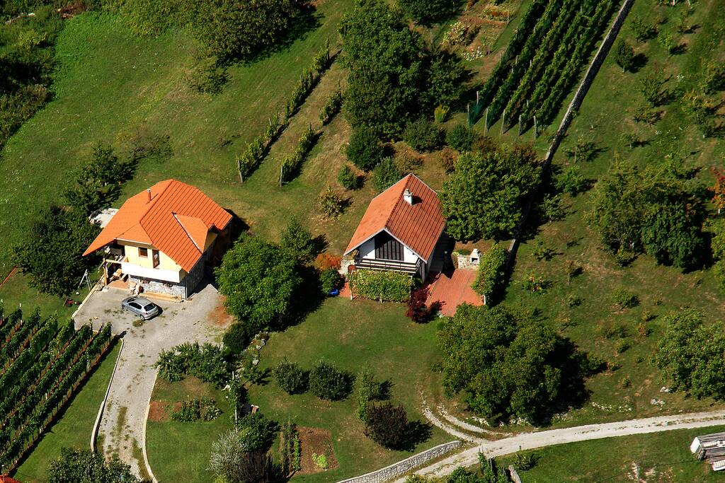 Vineyard Cottage and surrounding