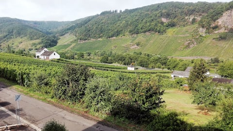 Top performing Airbnb: Lovingly furnished apartment with Moselle view in Bernkastel Wittlich