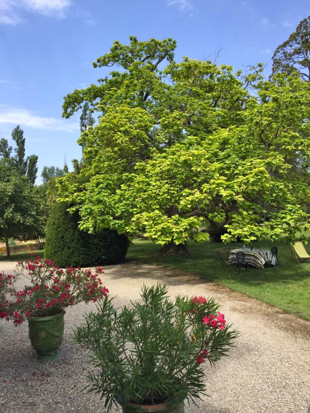 La Maison du Bonheur — photo 5