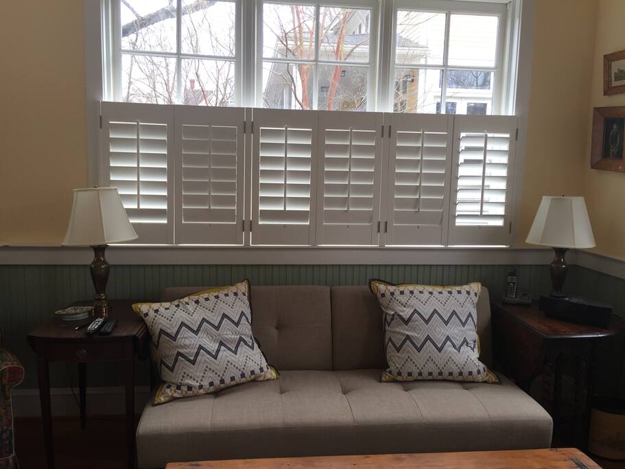 Living room with fold out couch
