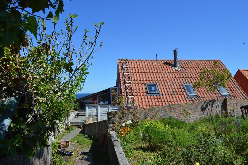 Have med klipper, højbede, figentræ og terrasse