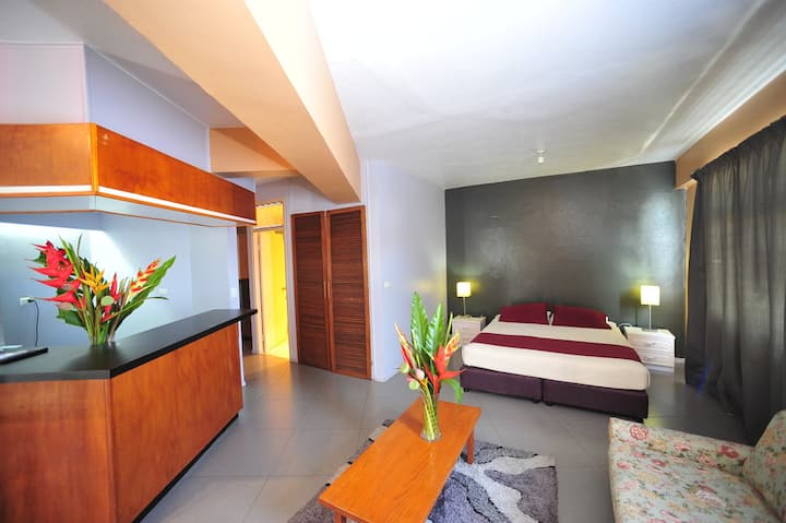 Hotel Olympic - Downtown Vila / Studio