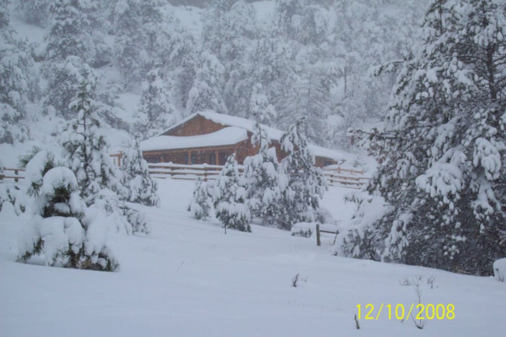 Winter