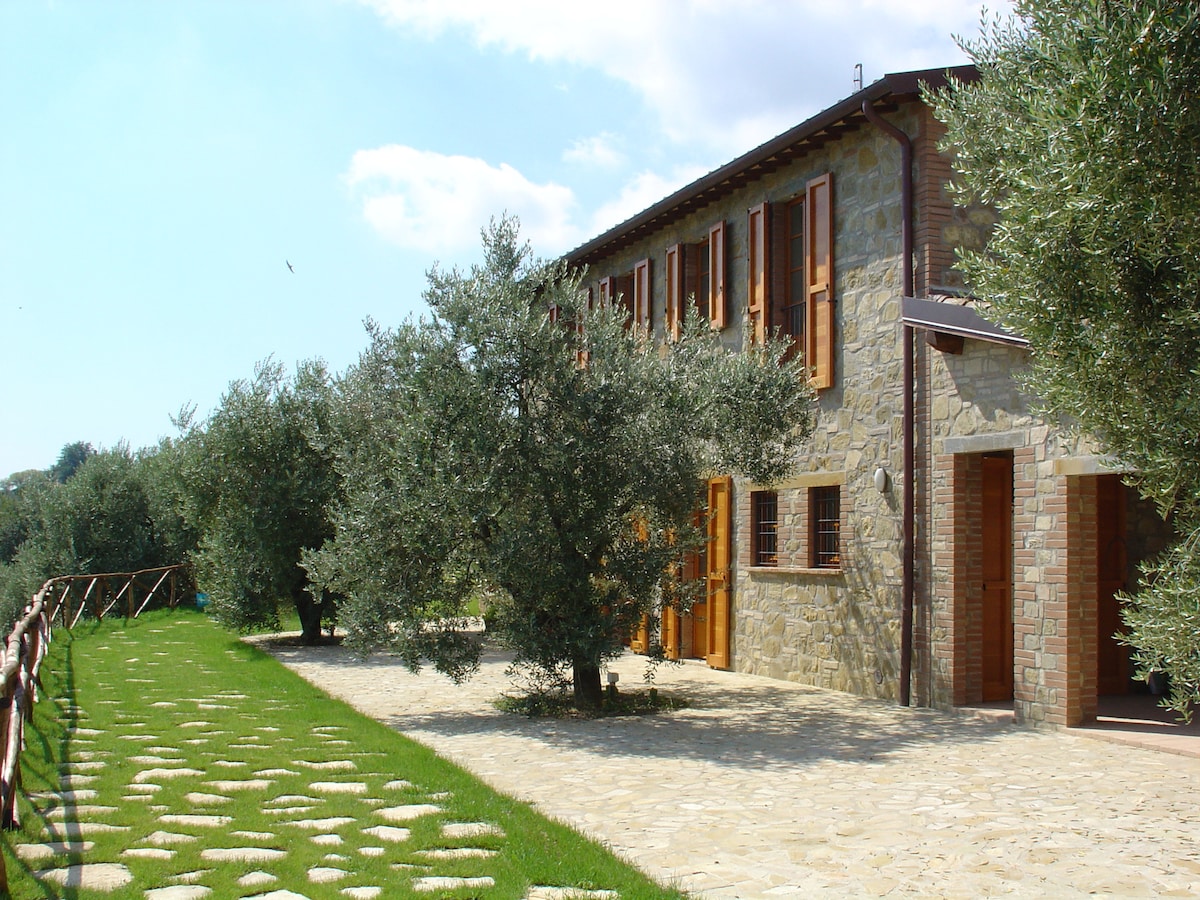 A charming stone building is surrounded by lush olive trees and a neatly maintained pathway. The exterior features wooden shutters and large windows, providing a rustic yet welcoming appearance. A grassy area extends beside the structure, inviting guests to enjoy the serene countryside landscape.