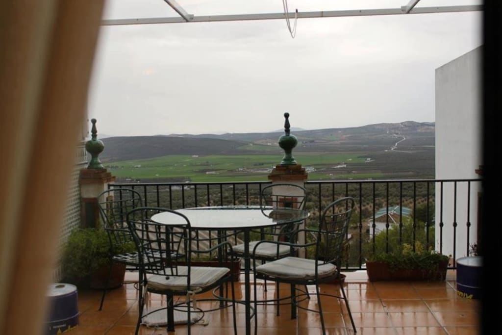 TERRAZA de LA SALA DE LA BLAS con vistas a un mar de olivos.