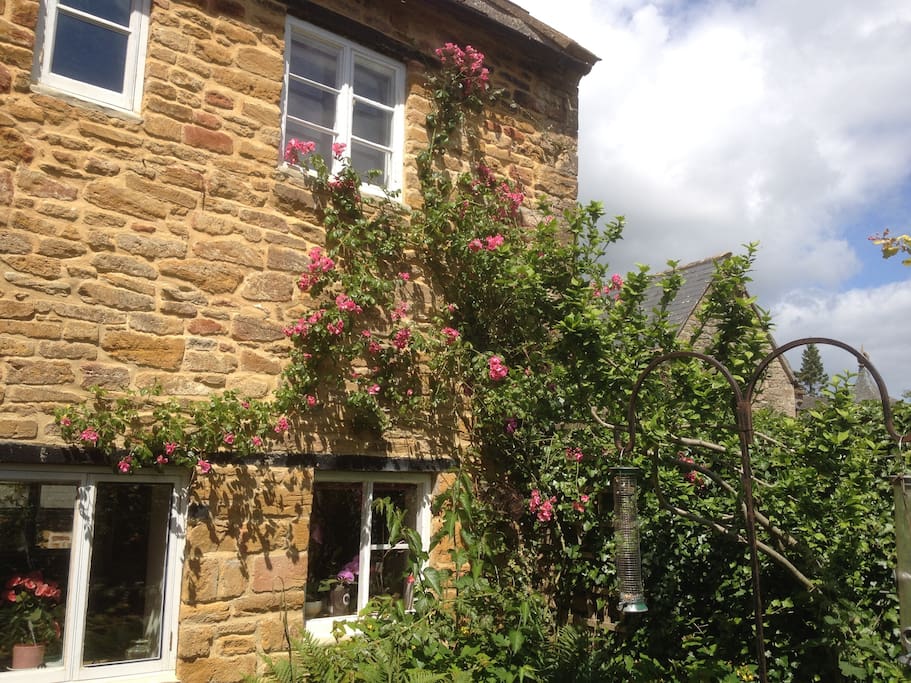 Back of cottage with climbing rose