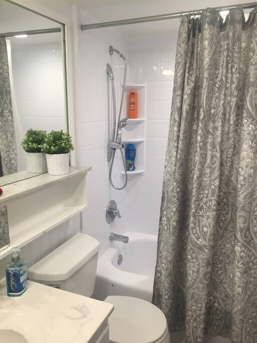 Full renovated bath with bath tub
