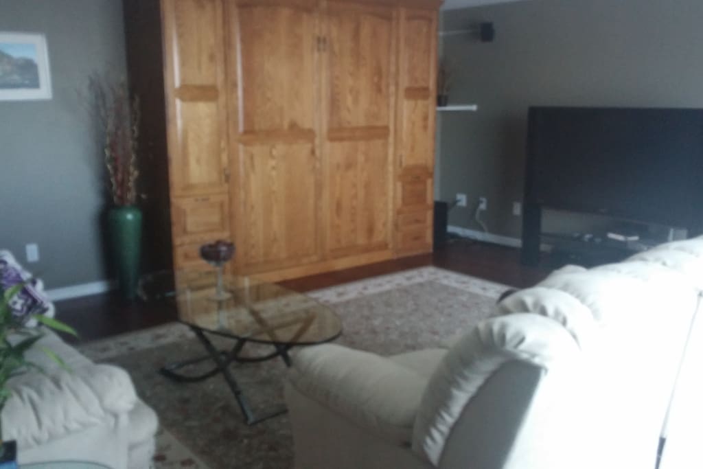 Wall bed and 55" TV