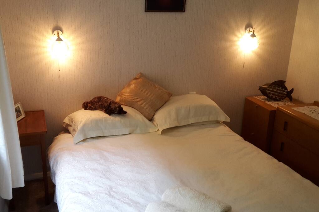 Guest queen bedroom 1 (main house downstairs).