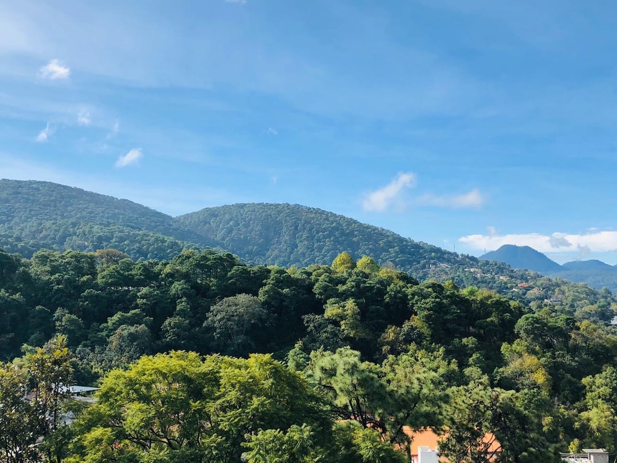 Lush green mountains rise in the distance under a clear blue sky, framed by a mix of vibrant vegetation. The natural landscape creates a peaceful backdrop, showcasing various shades of green and the texture of trees across the hillside.