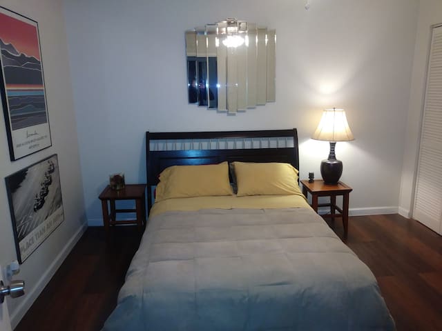 Guy host Downtown/Oak Lawn/Med District area
