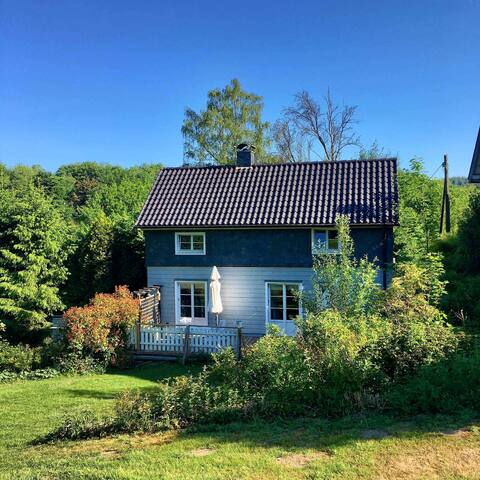 Ecological and modern forest cottage