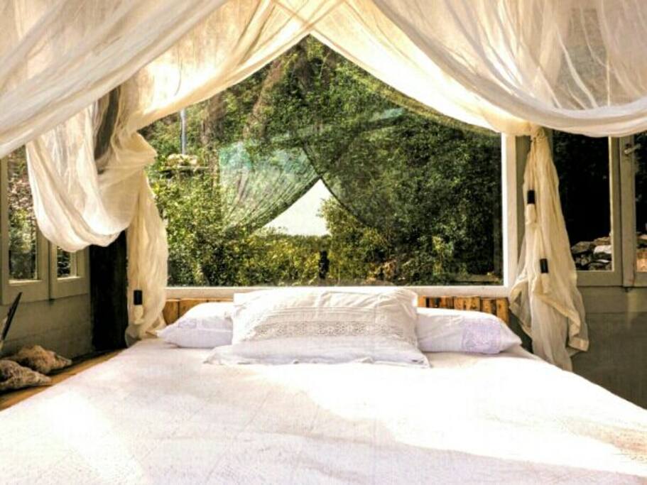 Green bedroom