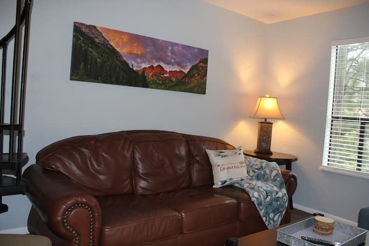 The Lake Condo - Colorado