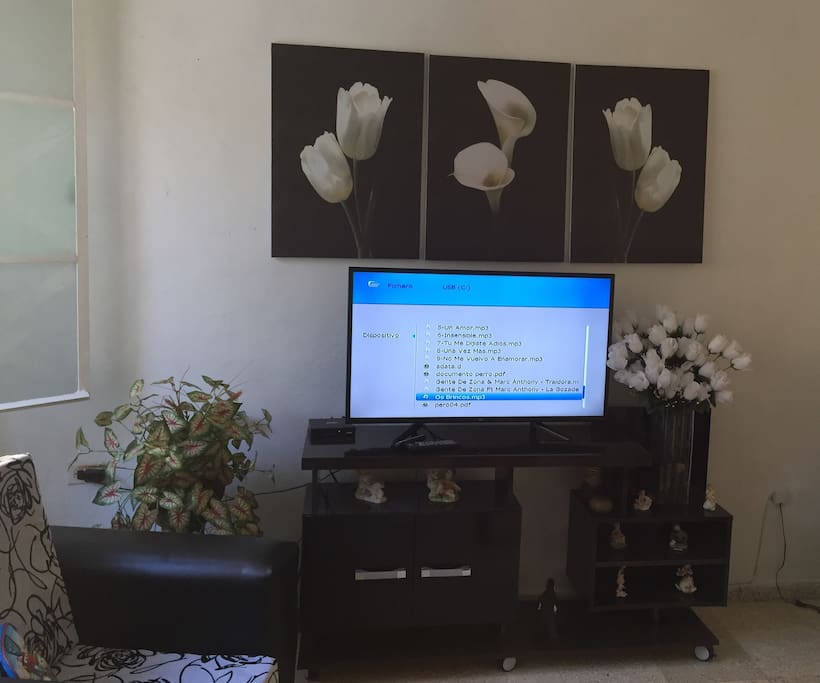 Living room, shared area