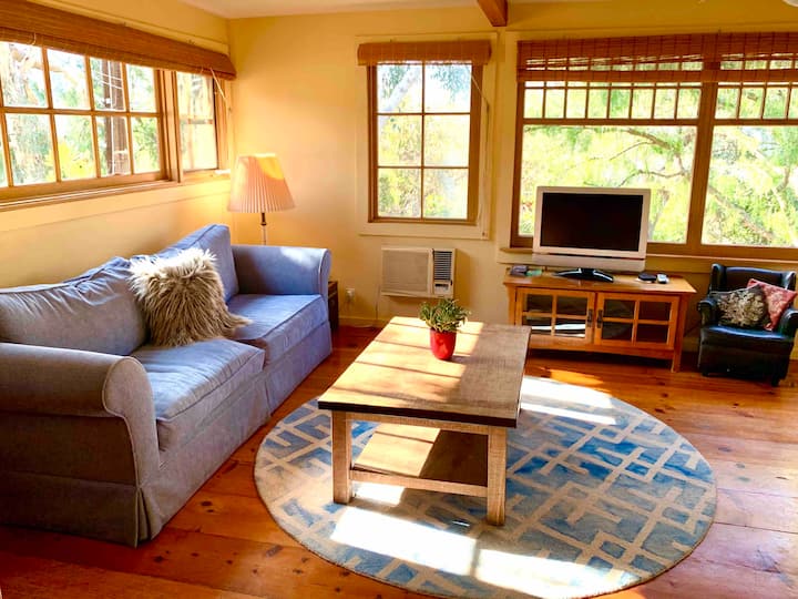 obývacia izba / skvelá izba s pohovkou na spanie