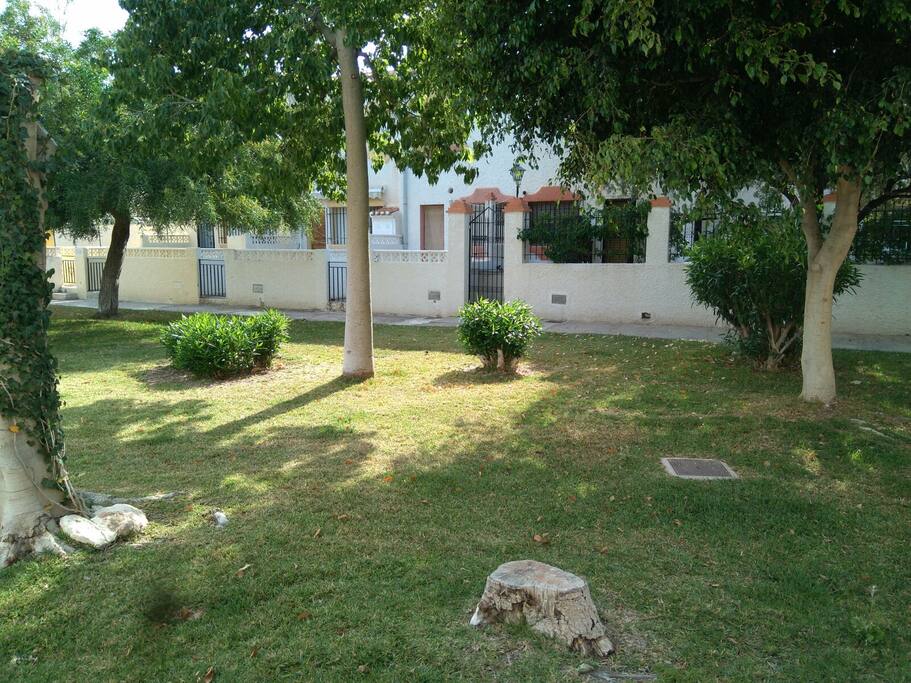 The Garden