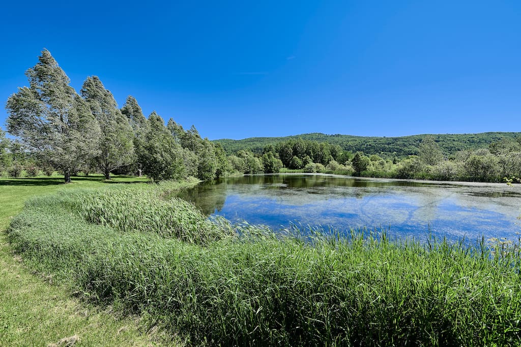 Lac du domaine