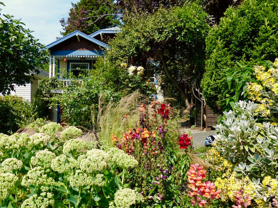 Lots of pretty plants and flowers to enjoy in the garden in the front of the house (of course this changes seasonally).