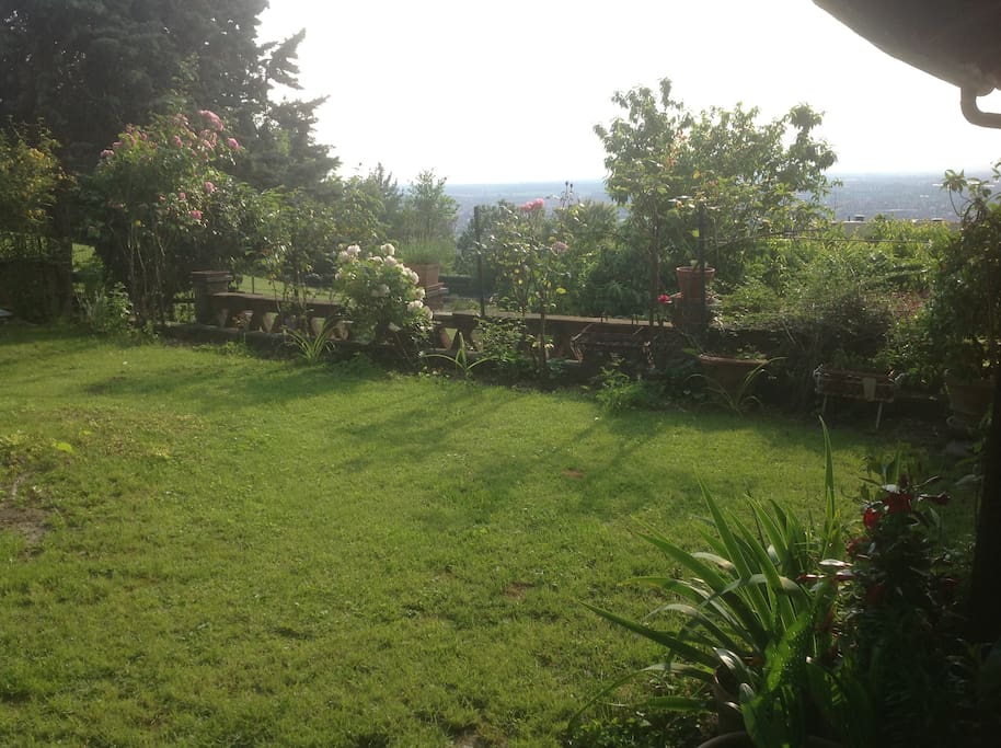 Il piccolo giardino...