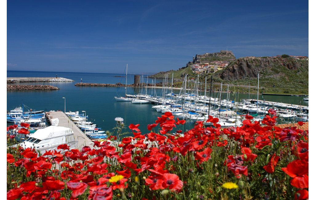 A marina situated along the coast is surrounded by vibrant red flowers in bloom. Sailboats are anchored in the calm blue waters, while a rocky hilltop with a historic structure is visible in the background under a clear blue sky.