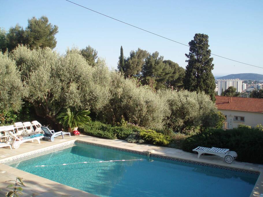 La piscine et les oliviers beaucoup plus âgés que la maison