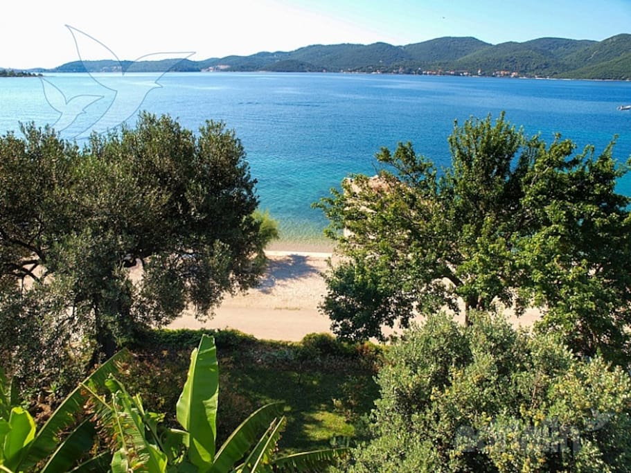 View from the balcony