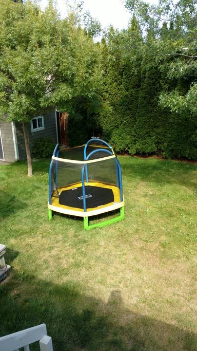 Great yard for both kids and adults