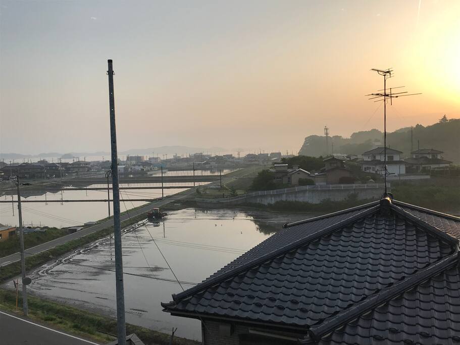 朝もやに 松島映る 水面かな