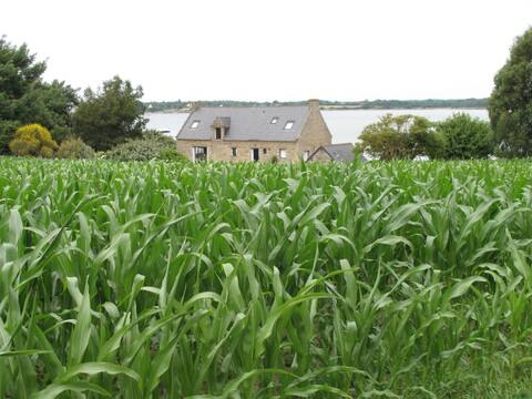 Maison Bretonne with its feet in the water on the Gulf