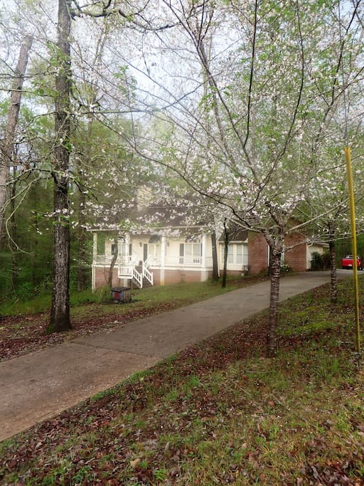 House sits off the road with H/C entrance though the carport.