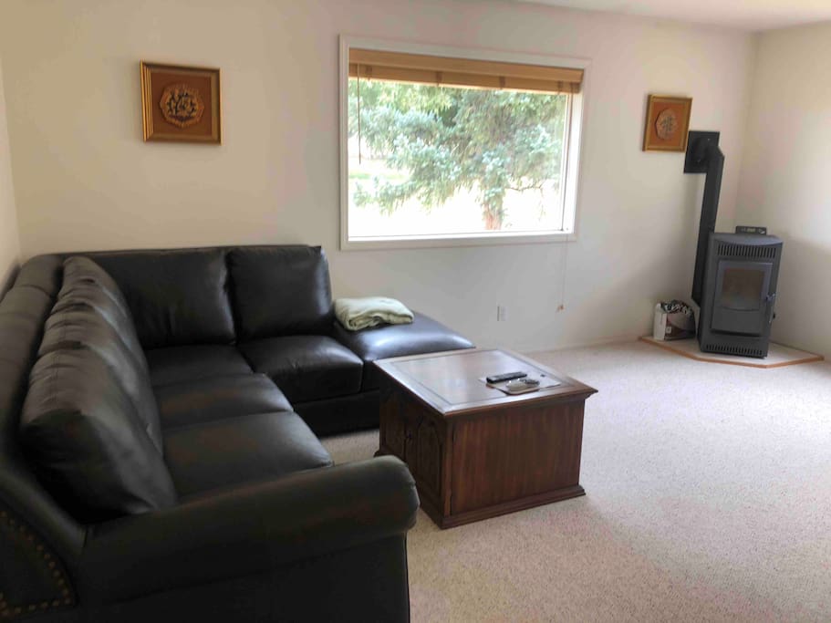 spacious leather couch and toasty pellet stove heater