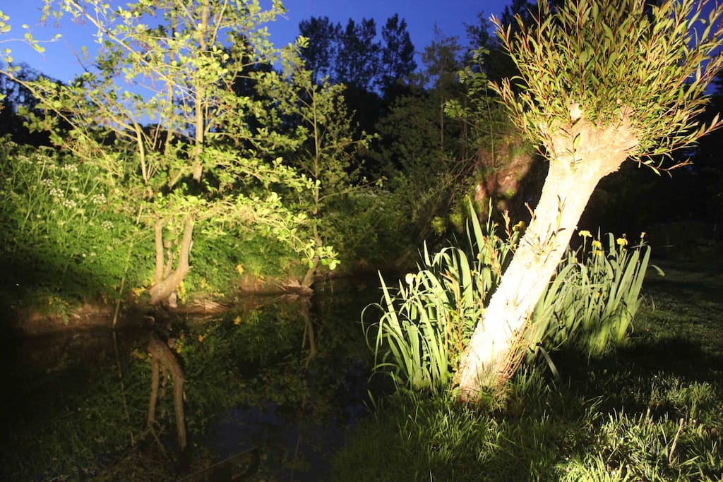 La rivière qui borde la propriété éclairée la nuit