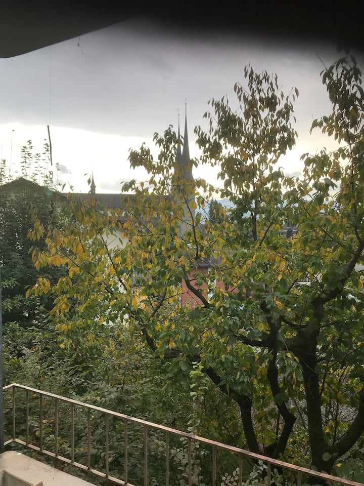 Top 10 LongTerm Rentals In Switzerland Trip101