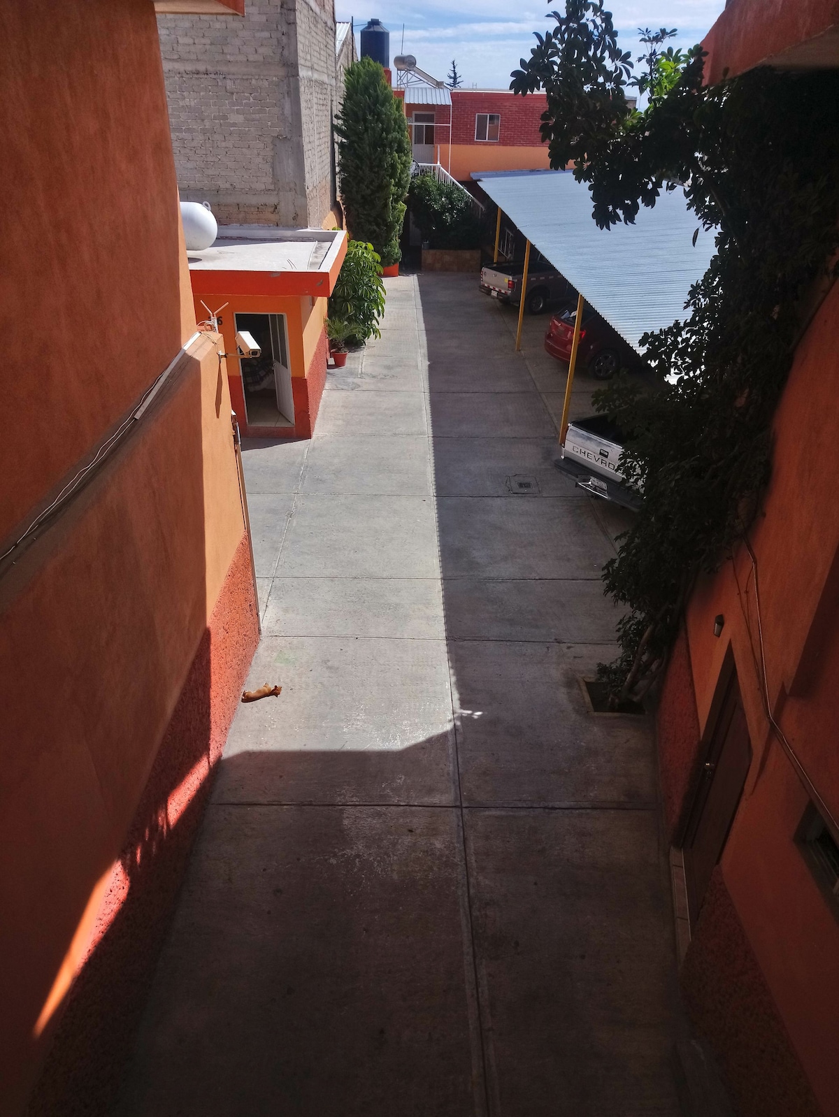 A wide, paved walkway is visible, bordered by orange walls and lush greenery. Several vehicles are parked under a covered area to the right. The scene is well-lit, with sunlight creating shadows on the ground, enhancing the spaciousness of the area.