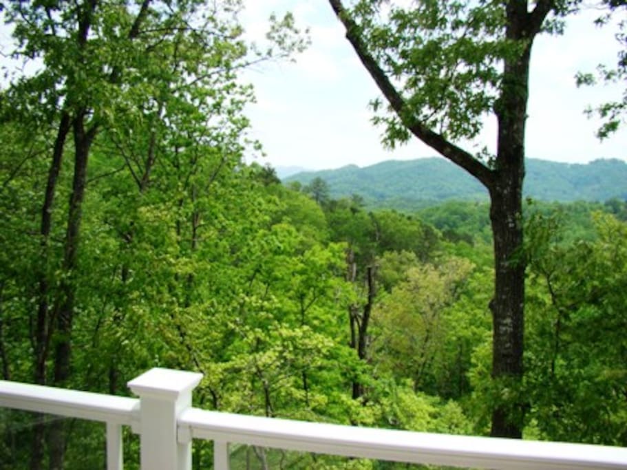 The Great Smoky Mountains are In Your Back Yard