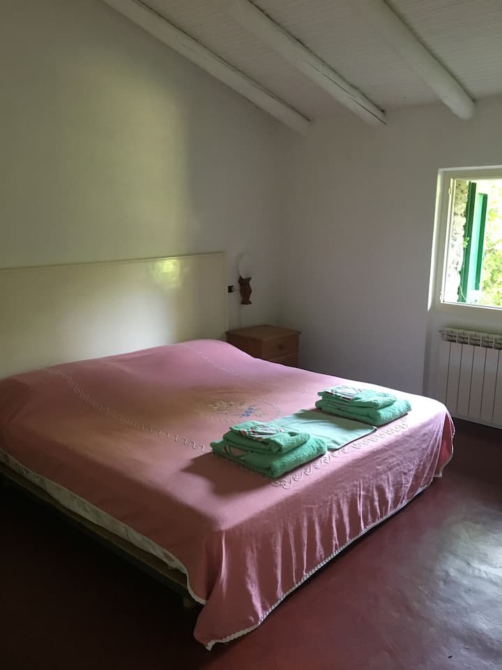 Chambre 6