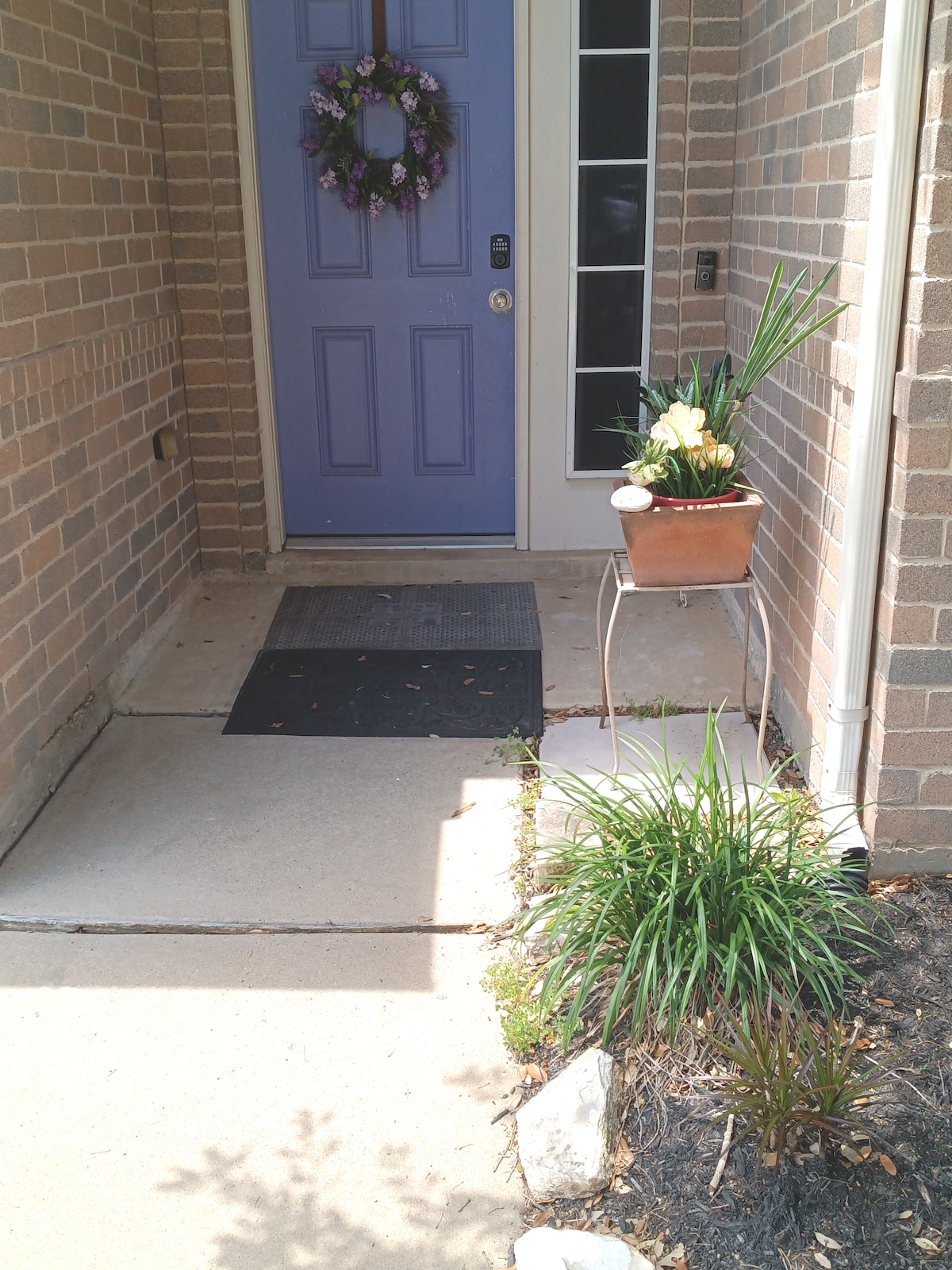 A welcoming entrance is marked by a vibrant purple door adorned with a floral wreath. A small potted plant with yellow blooms sits on a metal stand beside a neatly maintained walkway. Decorative grasses frame the entry, contributing to a pleasant first impression.