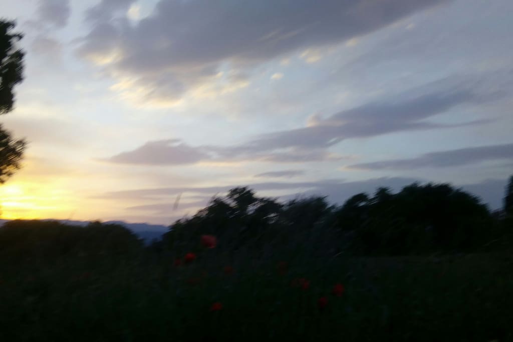 Couché de soleil à la campagne
