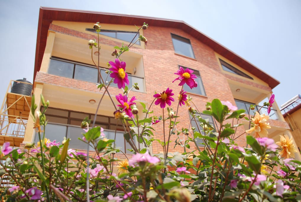 BUILDING