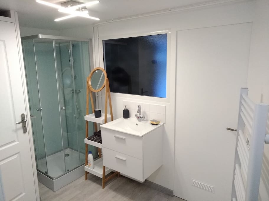 Espace douche et cabinet de toilette.