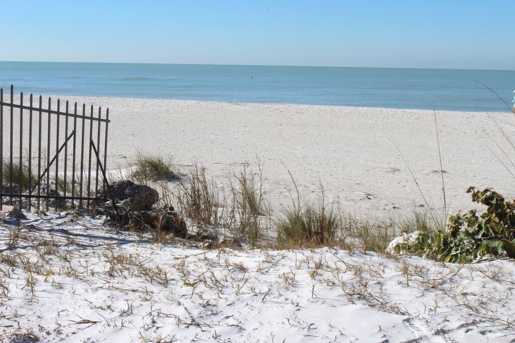The Beach