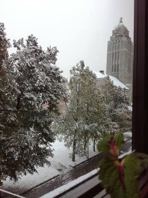 View from kitchen window