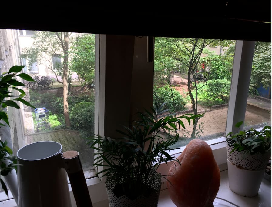 Livingroom + Backyardview