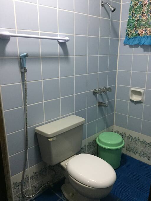 Rest room shower