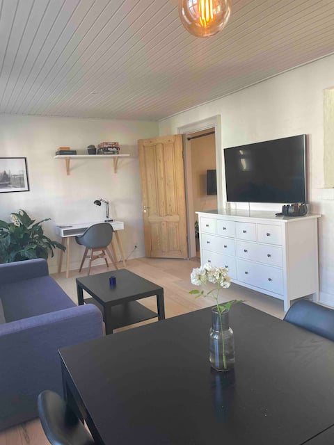 Top performing Airbnb: Lovely apartment in the middle of Odense in Odense