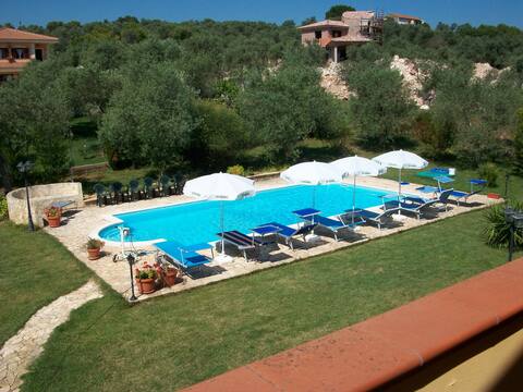 Rent Villa with pool surrounded by olive trees