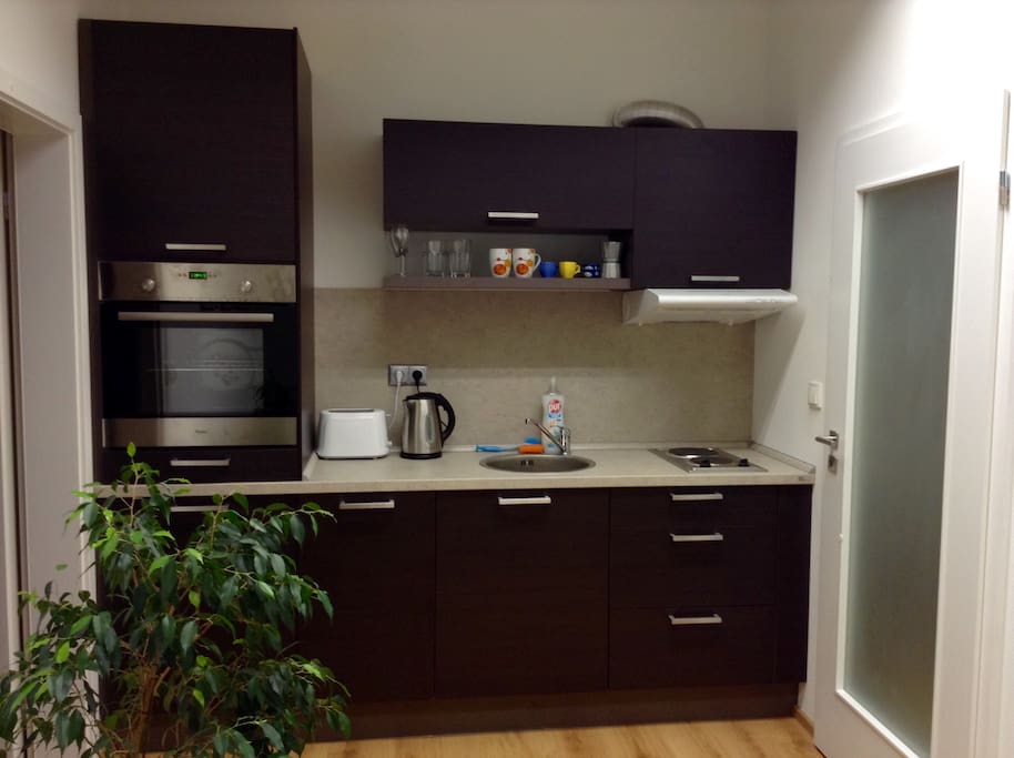 All appliances are new, oven, dishwasher, fridge and freezer, toaster, French press + some food supply, coffee, tea and ingredients