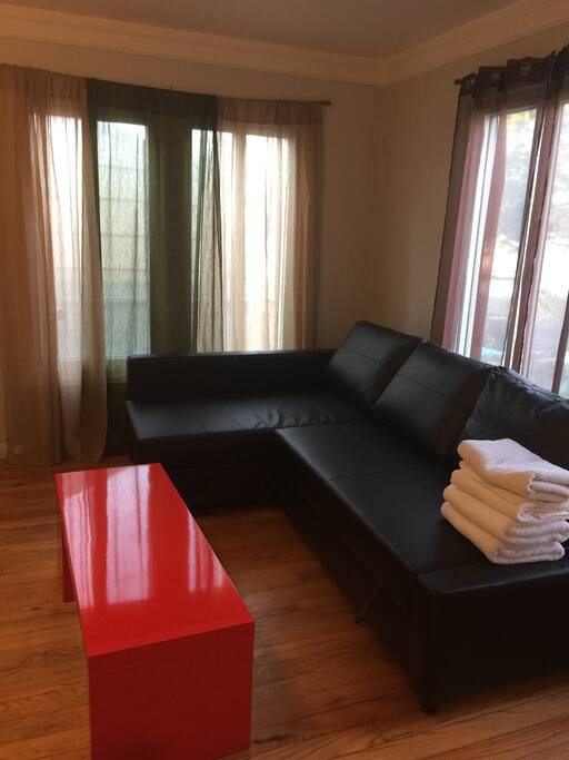 Living room with sofa bed